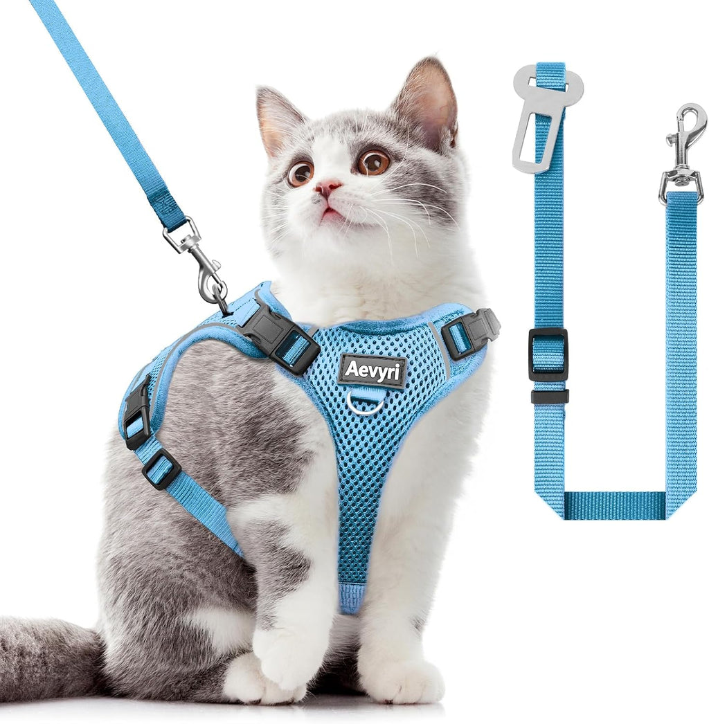 Safe escape proof cat harness fitted on a kitten