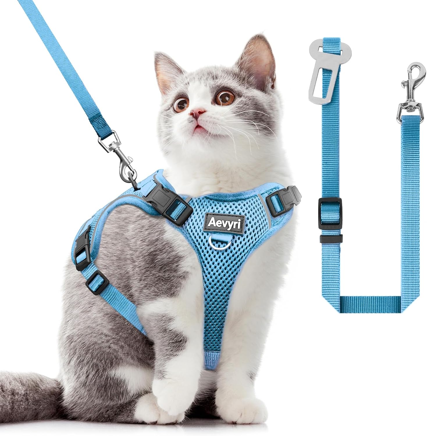 Safe escape proof cat harness fitted on a kitten