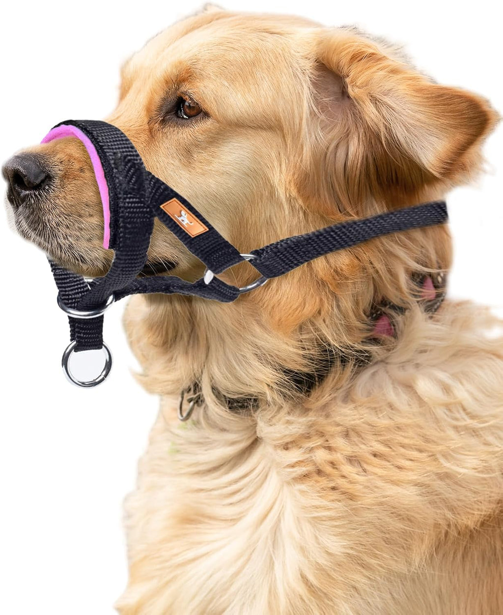 Wintchuk brand packaging and dog head collar training tool