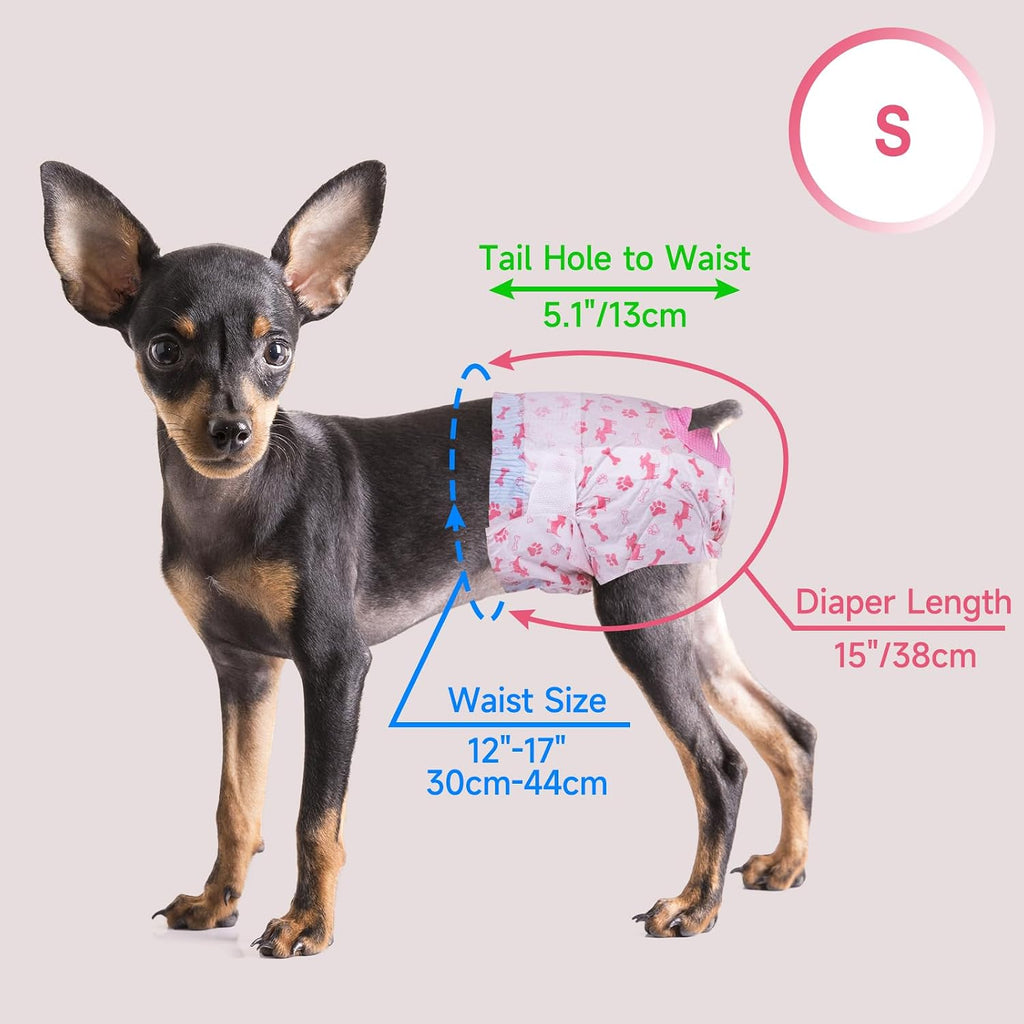 Highly absorbent leak proof core layer illustration on female dog diaper