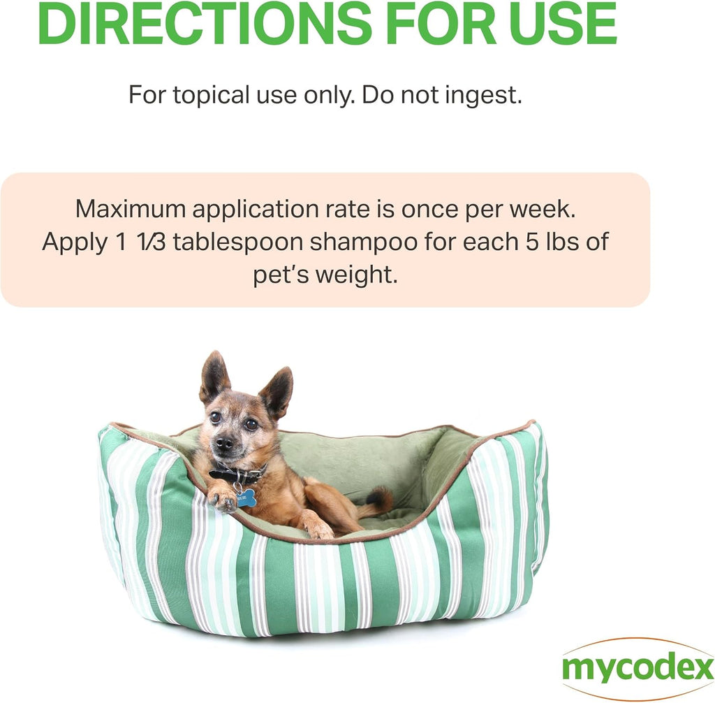 Lathering Mycodex P3 pet shampoo for removing dandruff dirt and scales safely