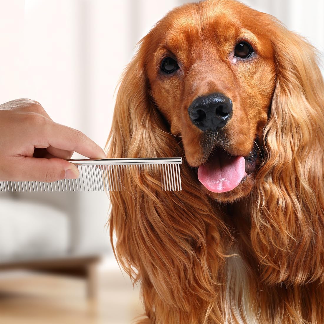 Close up of smooth rounded safety teeth on a pet dematting comb