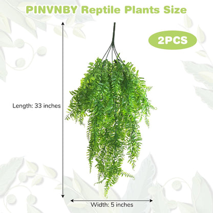 Pinvnby reptile climbing vines attached to glass with suction cup