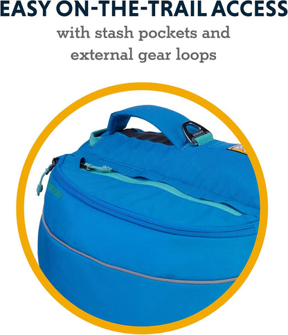 Ruffwear dog gear showing reflective trim elements in low light.