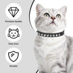 Black genuine leather kitty collar by Dillybud with breakaway safety features