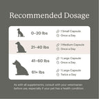 Animal Biome Probiotics for Dogs with S Boulardii, Gut Maintain (60 Capsules) - Triple-Action Large Dog Probiotics, Prebiotics & Phage Supplements for Gut Health, Firmer Stool & Diarrhea Support - Image 10
