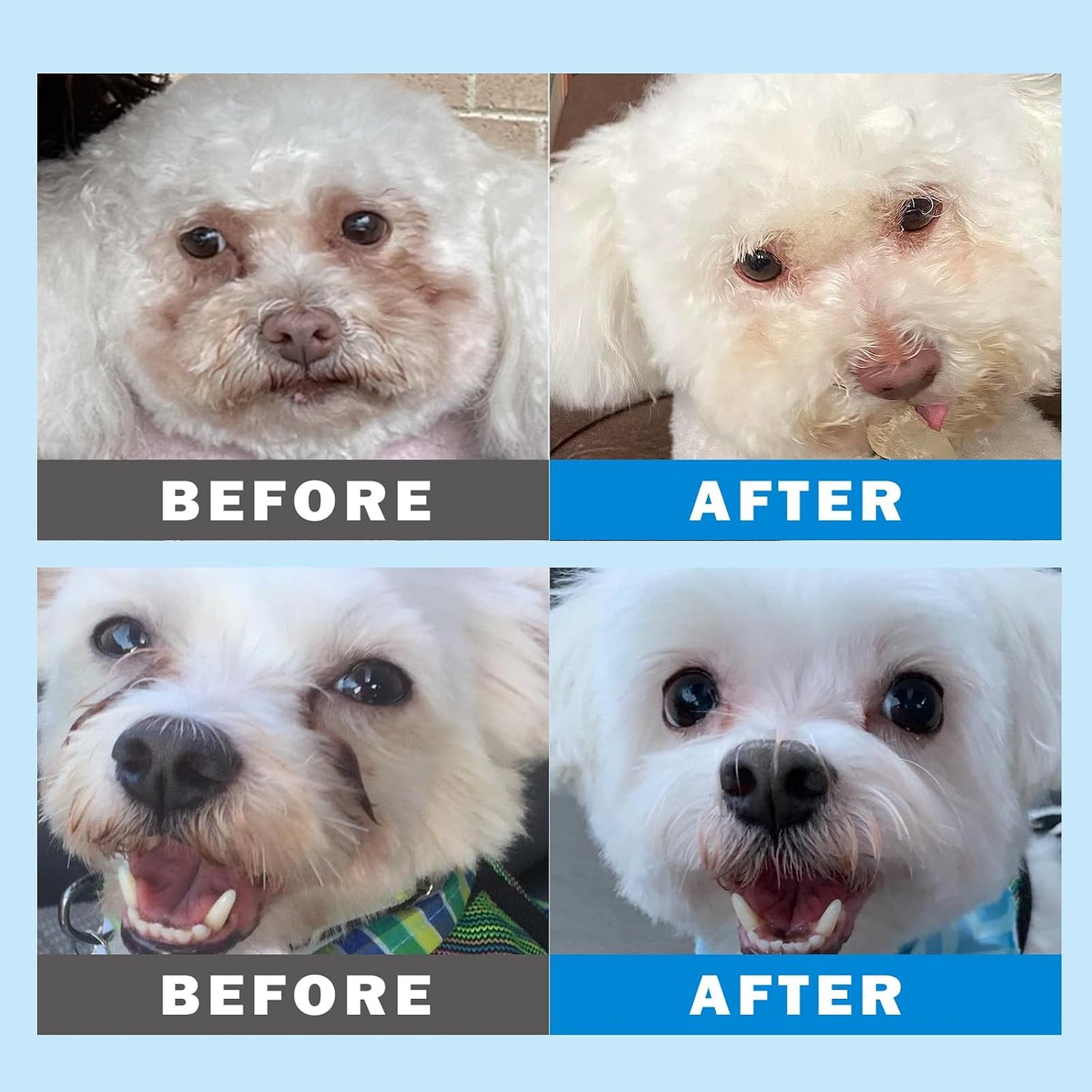 Pre-soaked cotton pet eye wipes being used for gentle tear stain removal