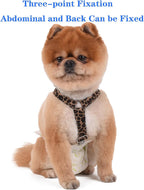 Escape proof dog harness suspenders for male belly wraps and female pet diapers