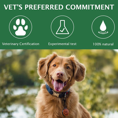 Authentic imported pet eye wash solution being applied to a dog to clear eye discharge