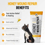 Applying wound care gel to a dog skin irritation