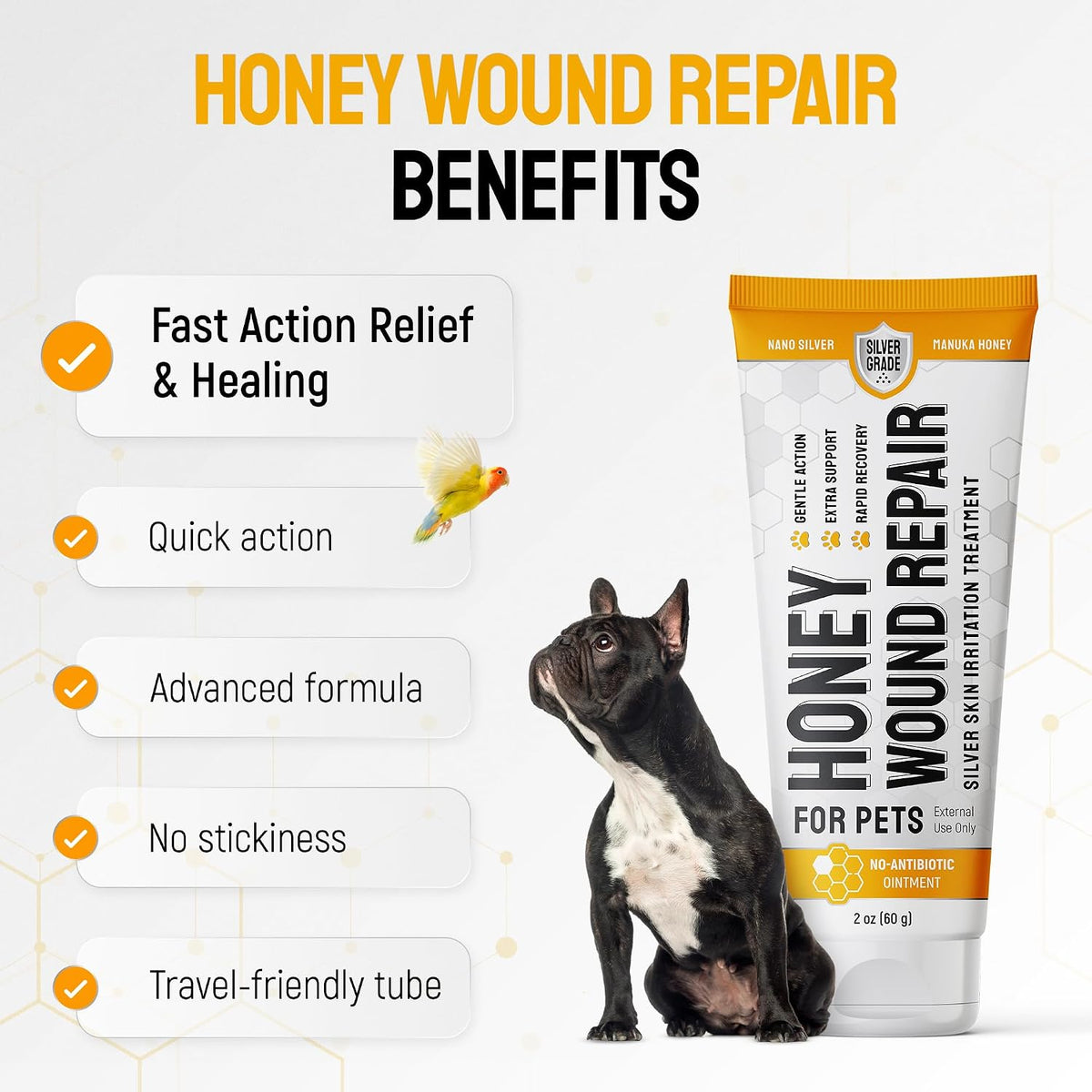 Applying wound care gel to a dog skin irritation
