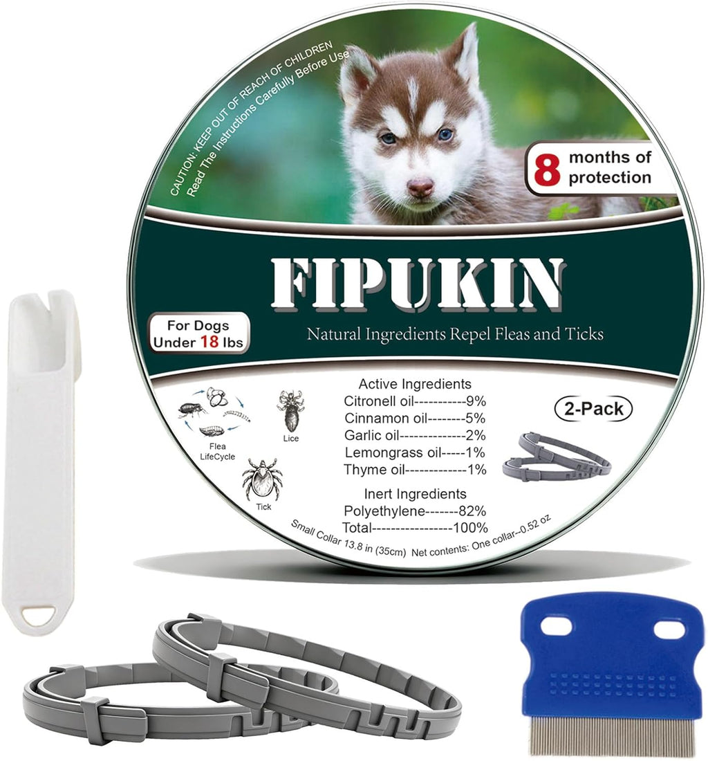 Small dog wearing Fipukin tick prevention collar