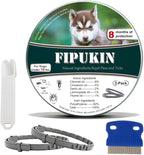 Small dog wearing Fipukin tick prevention collar