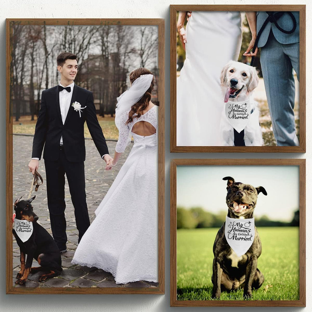 Black pet scarf with white text for wedding photo props