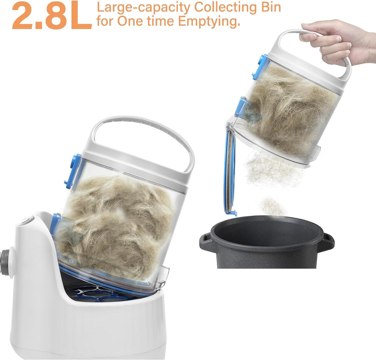 Petmolico professional dog grooming vacuum kit displaying all four interchangeable tools and flexible hose.