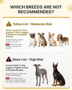 USA imported premium pet healing collar for dogs and cats