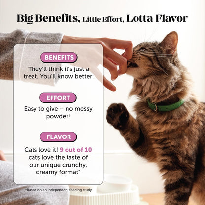 Pet Honesty daily cat vitamins for immune and joint support