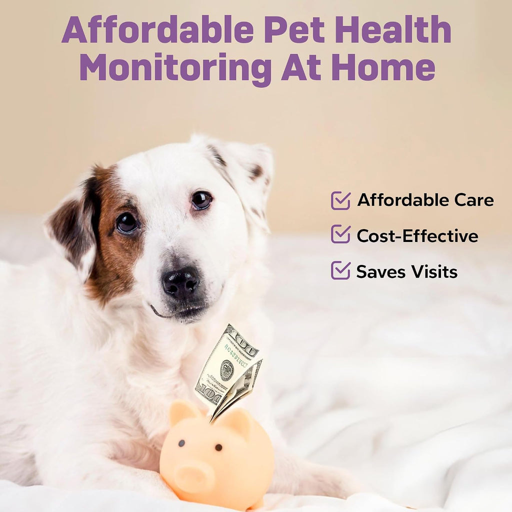 Checking pet urine strip results for urinary tract infection markers.