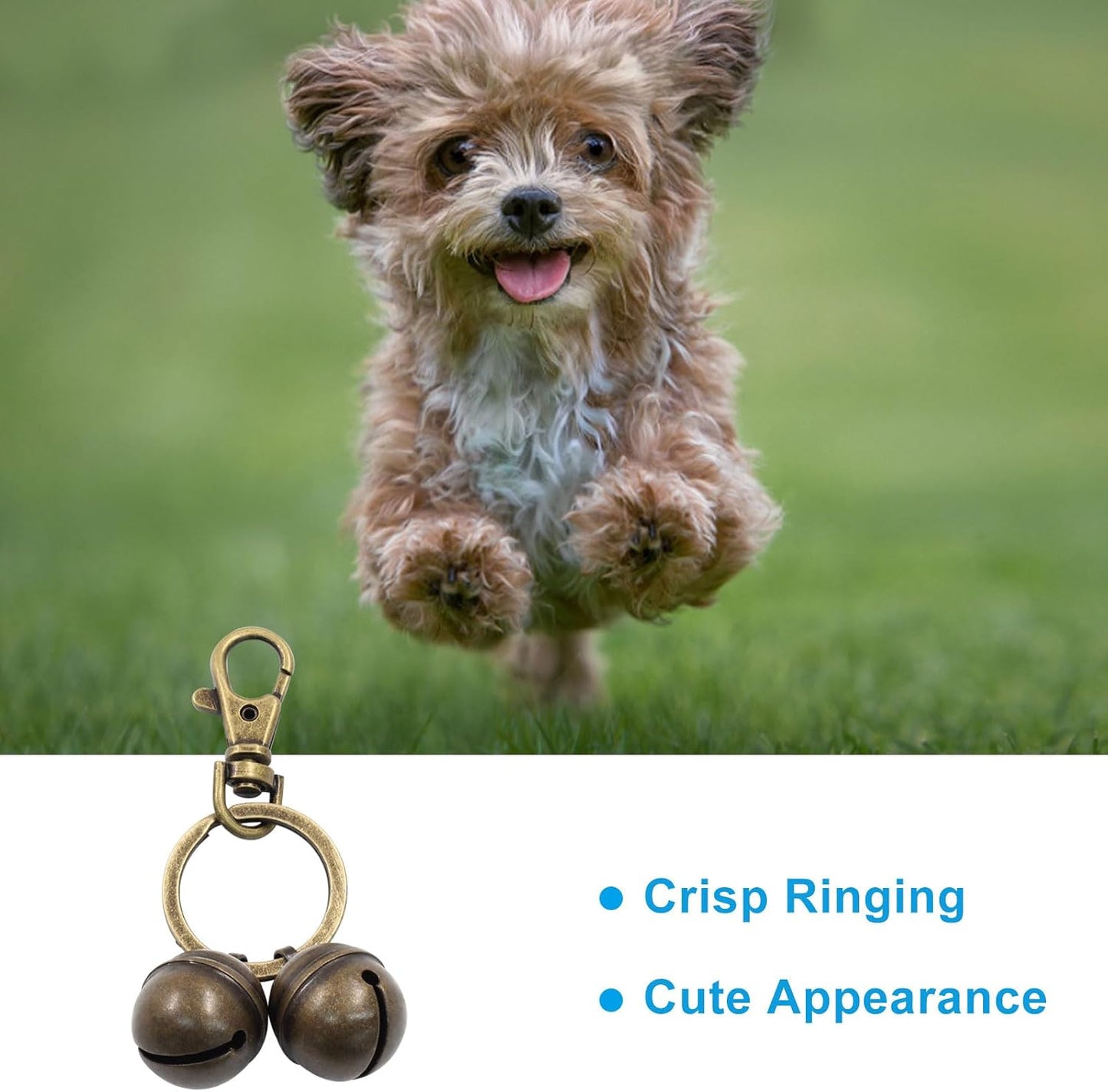 Waziaqoc antique bronze dog collar tracker bells pack showcasing the complete hardware set.