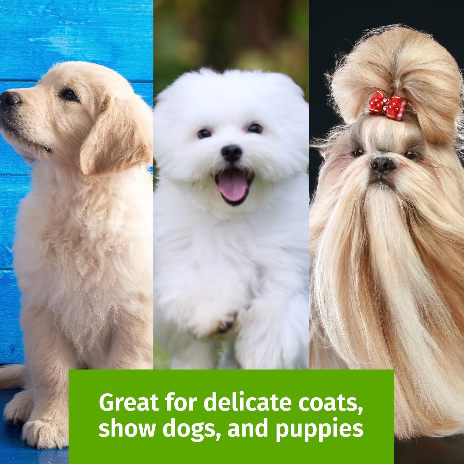 Premium pet grooming brush showing flexible angled stainless steel pins