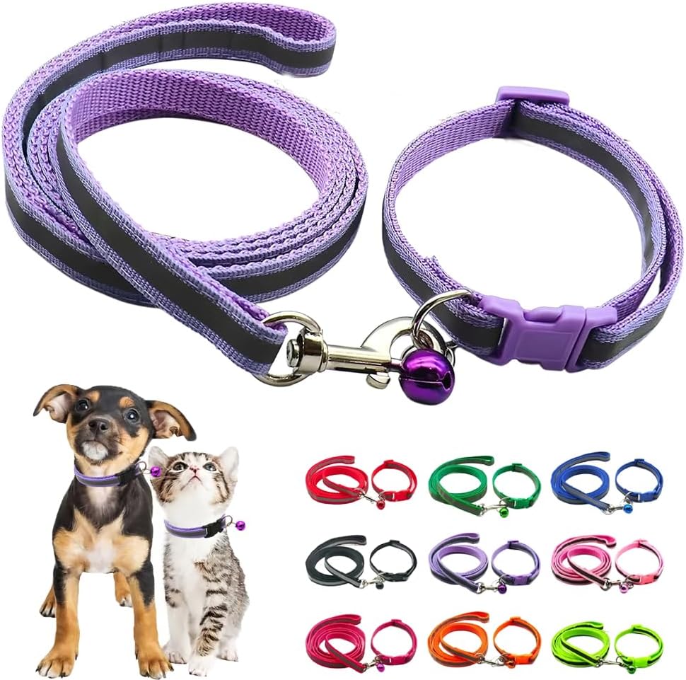 Reflective strip detail on Hotlion pet collar and leash set