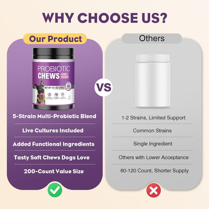 Dog eating chicken flavored probiotic digestive chew