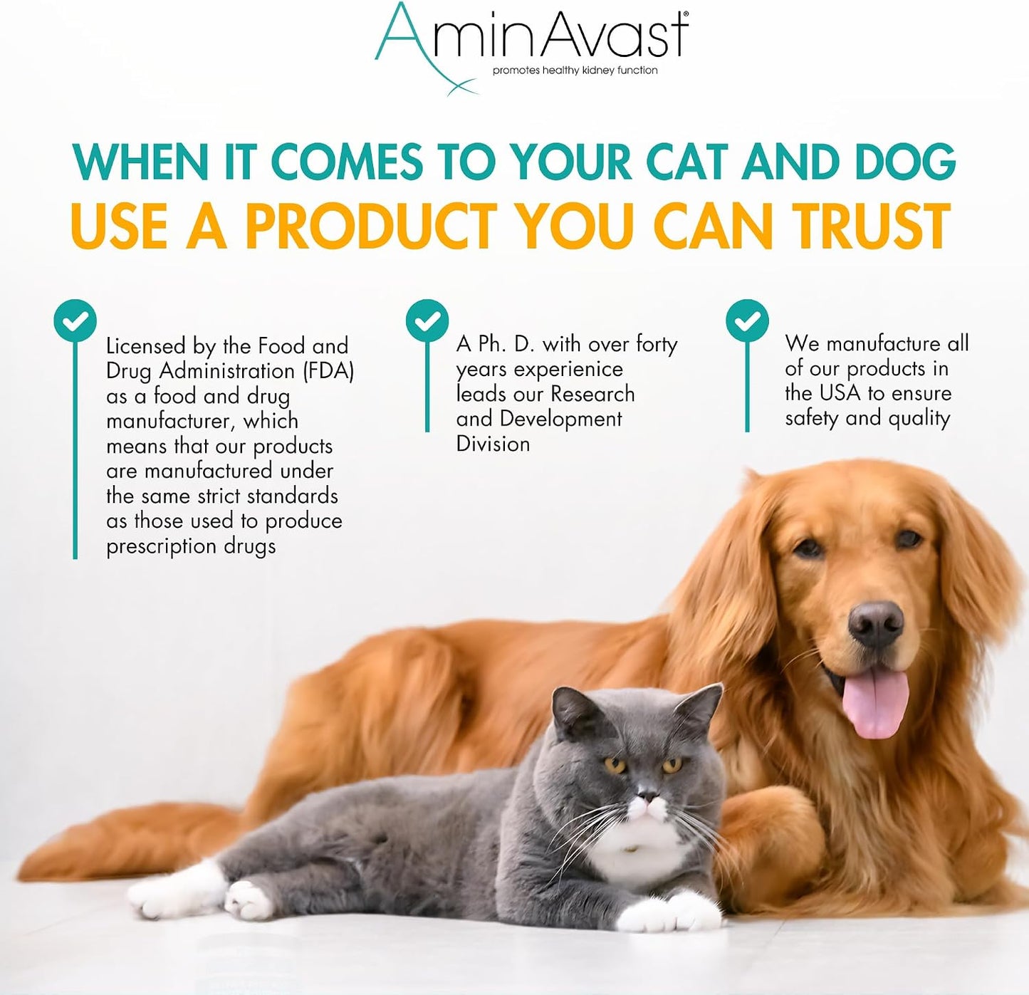 AminAvast Small Dogs & Cat Kidney Support - Promotes Healthy Kidney Support in Cats & Small Dogs - 300mg, 60 Capsule - Image 6