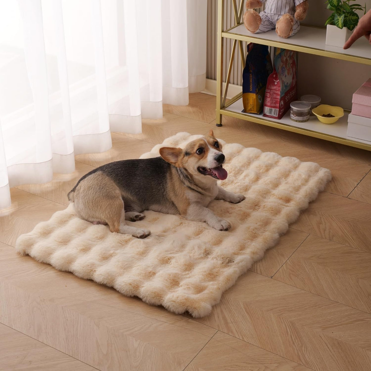 SHENGOCASE authentic USA imported ultra soft cat kennel cushion pad