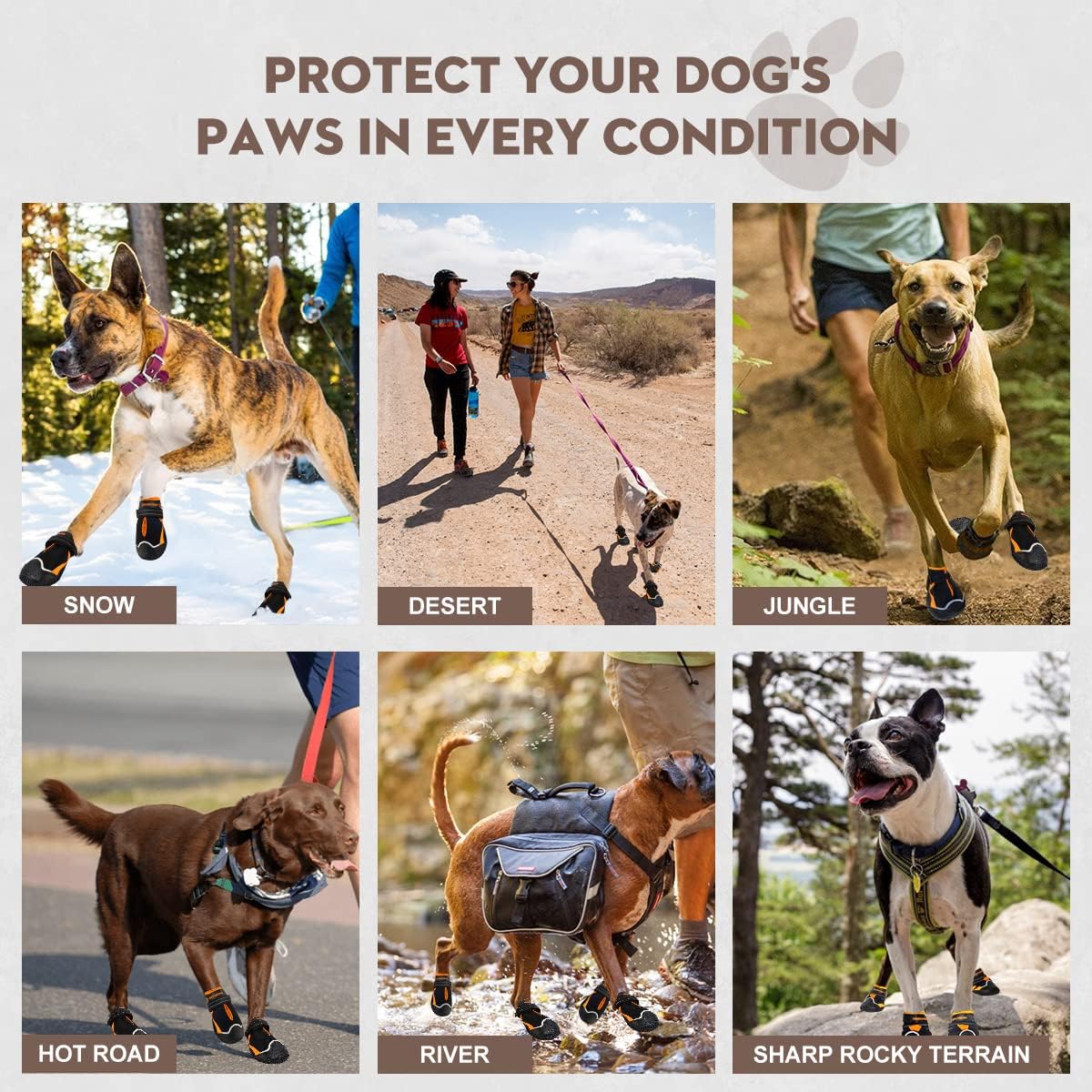 Boxxberk dog booties for hot pavement protection