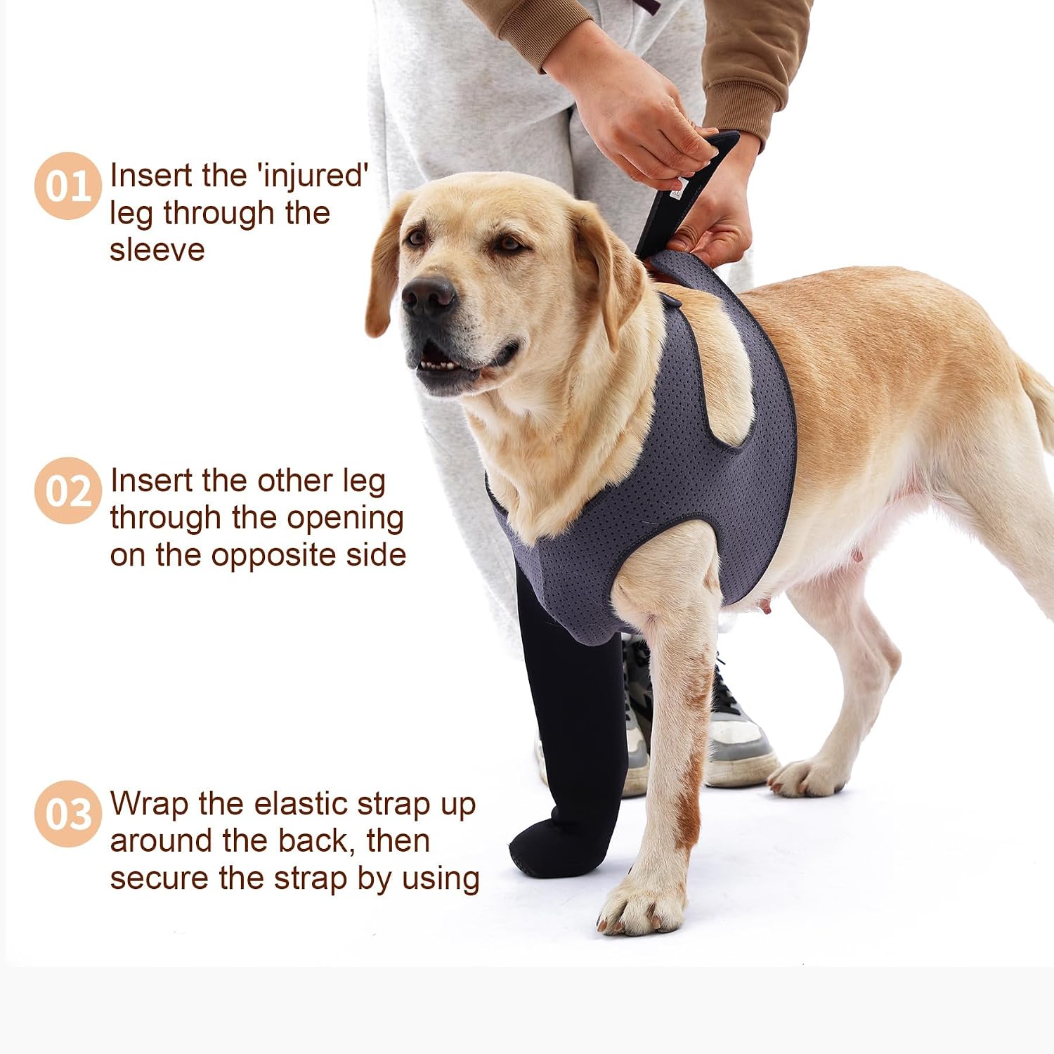 Dog wearing Grettytling sleeve as cone collar alternative