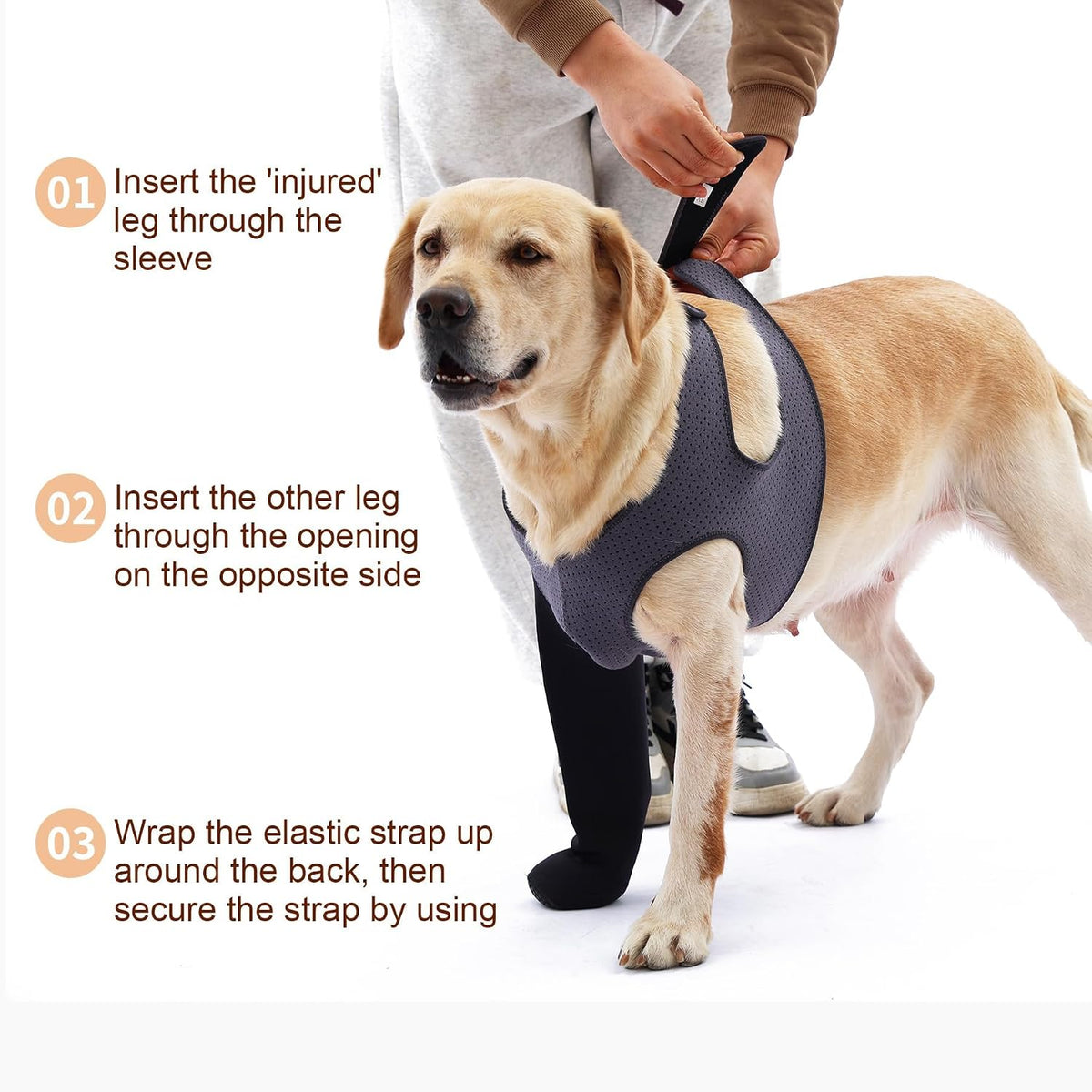 Dog wearing Grettytling sleeve as cone collar alternative