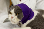 Cat Hematoma Ear Wrap, Pinpoint Mesh Anxiety Relief, Cat Bath Accessories for pet Grooming & Force Drying (Grey S) - Image 9