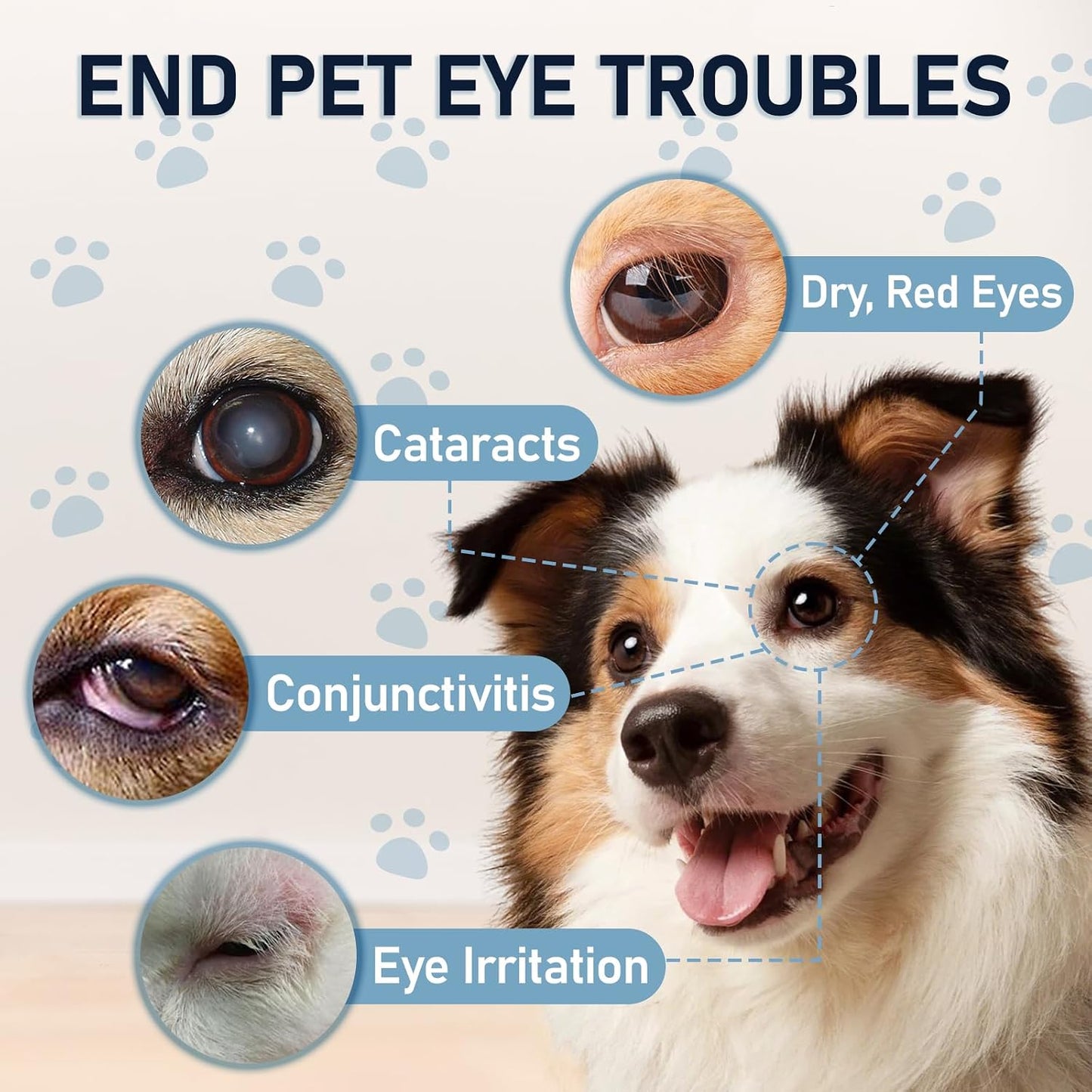 Natural pet eye infection treatment package details displaying instructions for dogs and cats