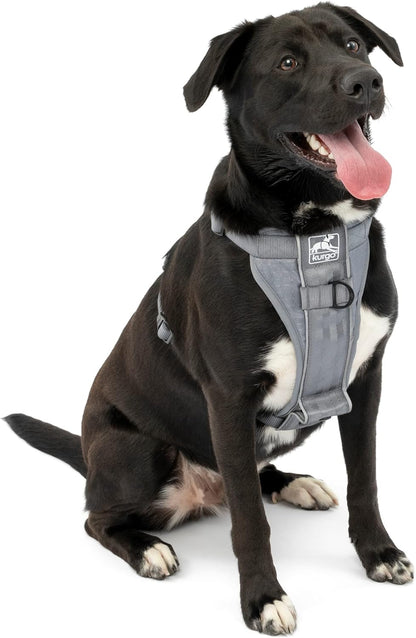 Kurgo Tru-Fit Smart Dog Walking Harness - Comfortable Fit - Adjustable Harness - Reflective Pet Wear - Quick Strap Release - Daily Walk Accessory - Includes Seat Belt Loop - Black - Large - Image 13