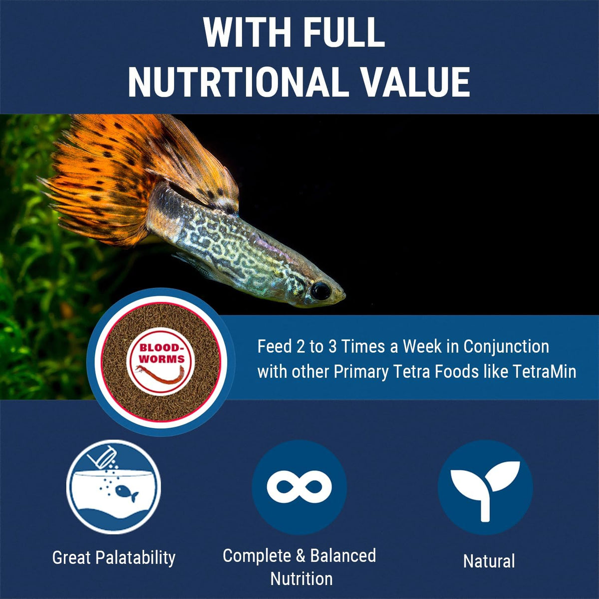 Tetra bloodworms fish food jar label and ingredients display