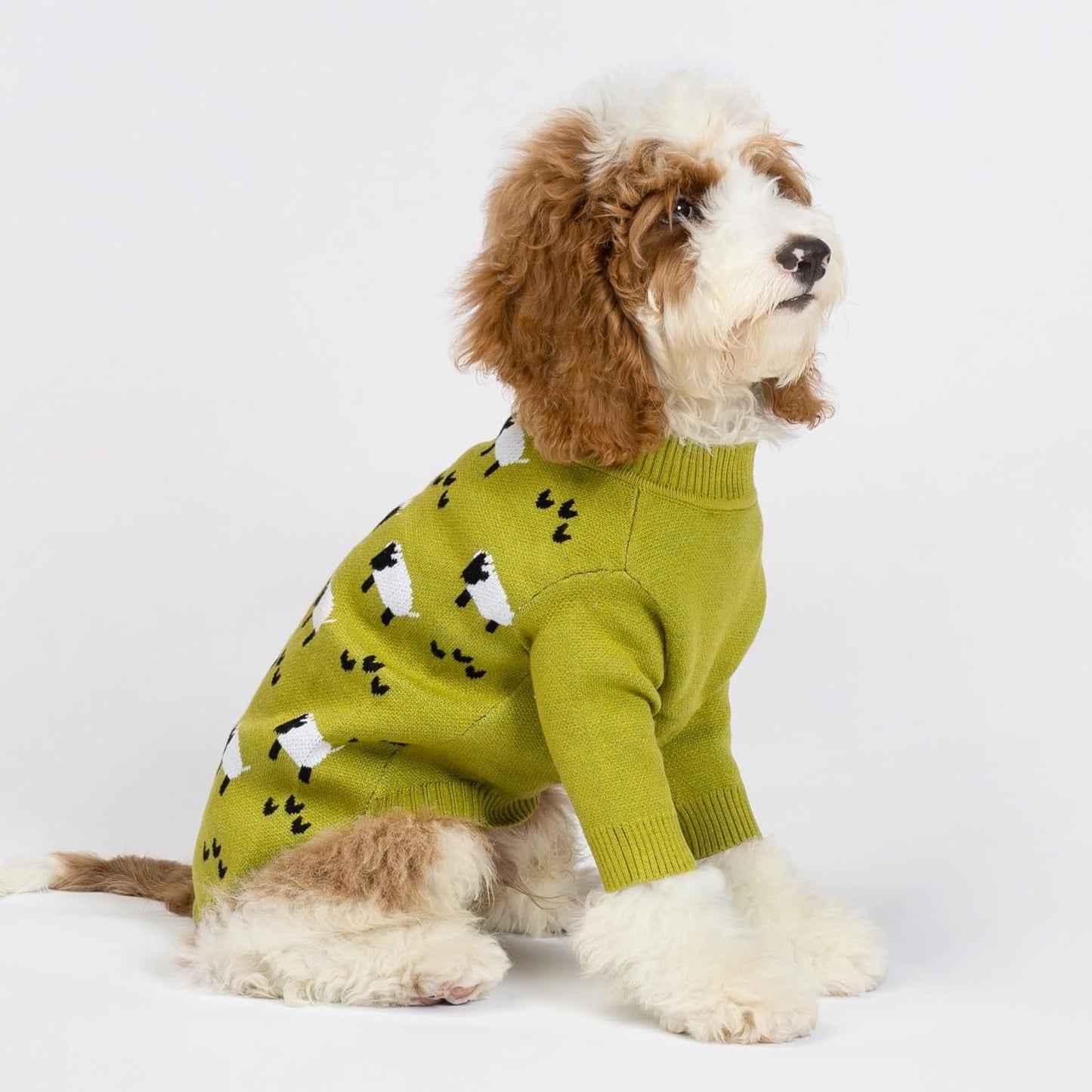 Fitwarm thermal dog jumper showing olive green knit pattern and sheep motif