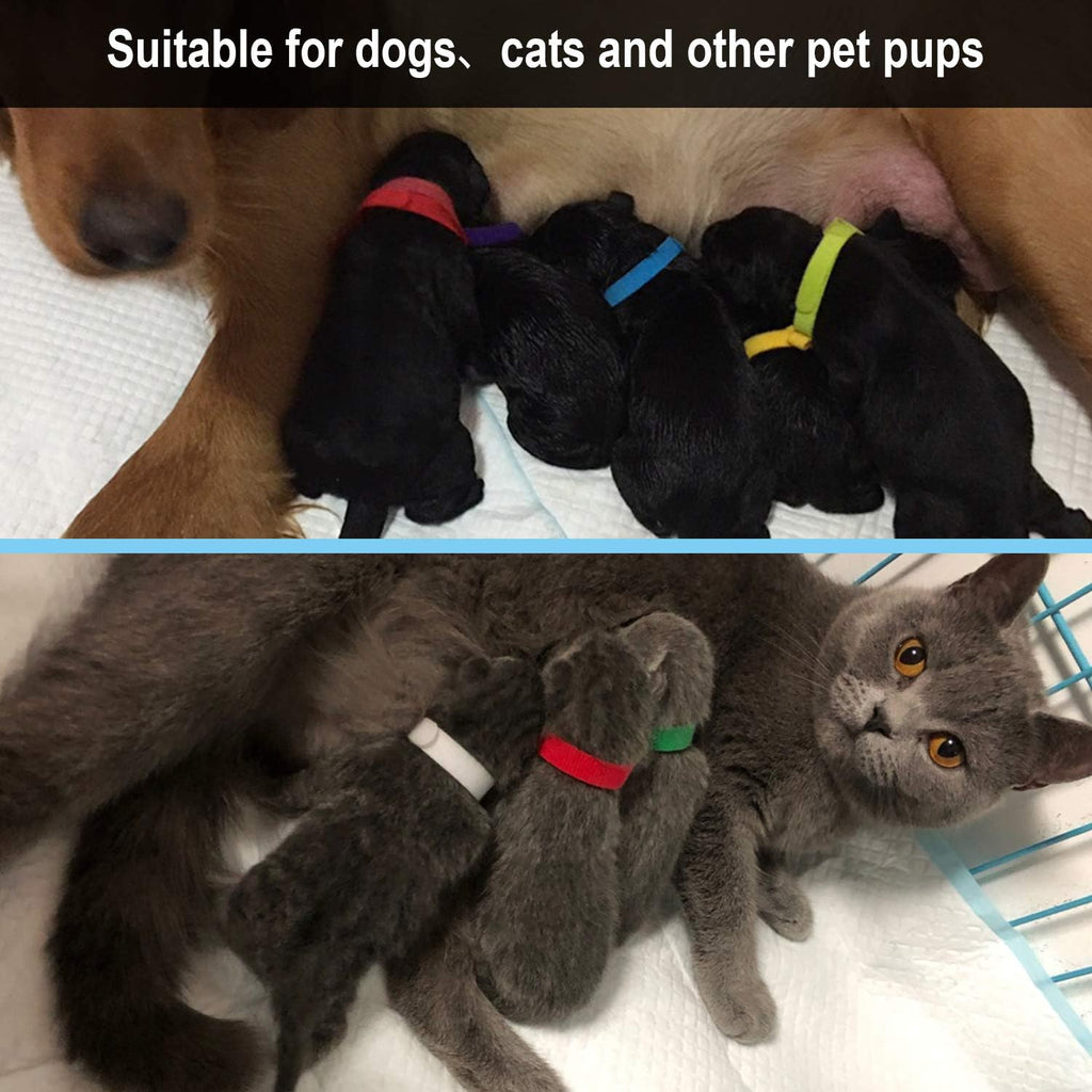 Set of 15 colored whelping collars for litter identification