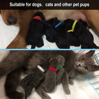 Set of 15 colored whelping collars for litter identification