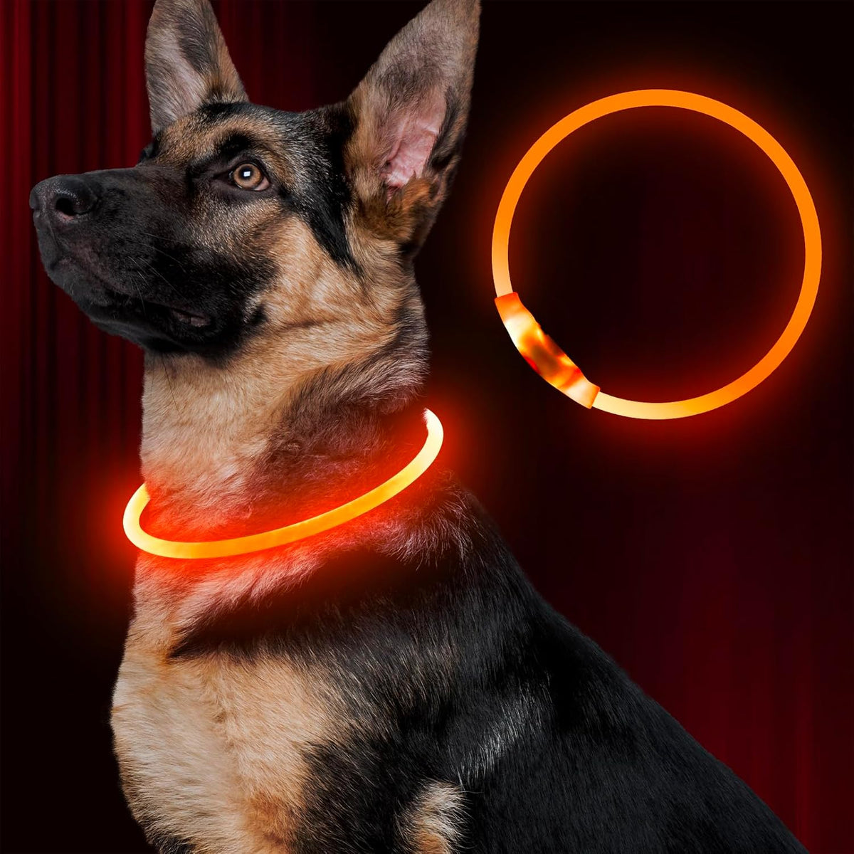 Led Dog Collar, BSEEN USB Rechargeable Flash Dog Necklace Light, Pet Safety Collar Makes Your Beloved Dogs Be Seen at Night for Small Medium Large Dogs(Green) - Image 12
