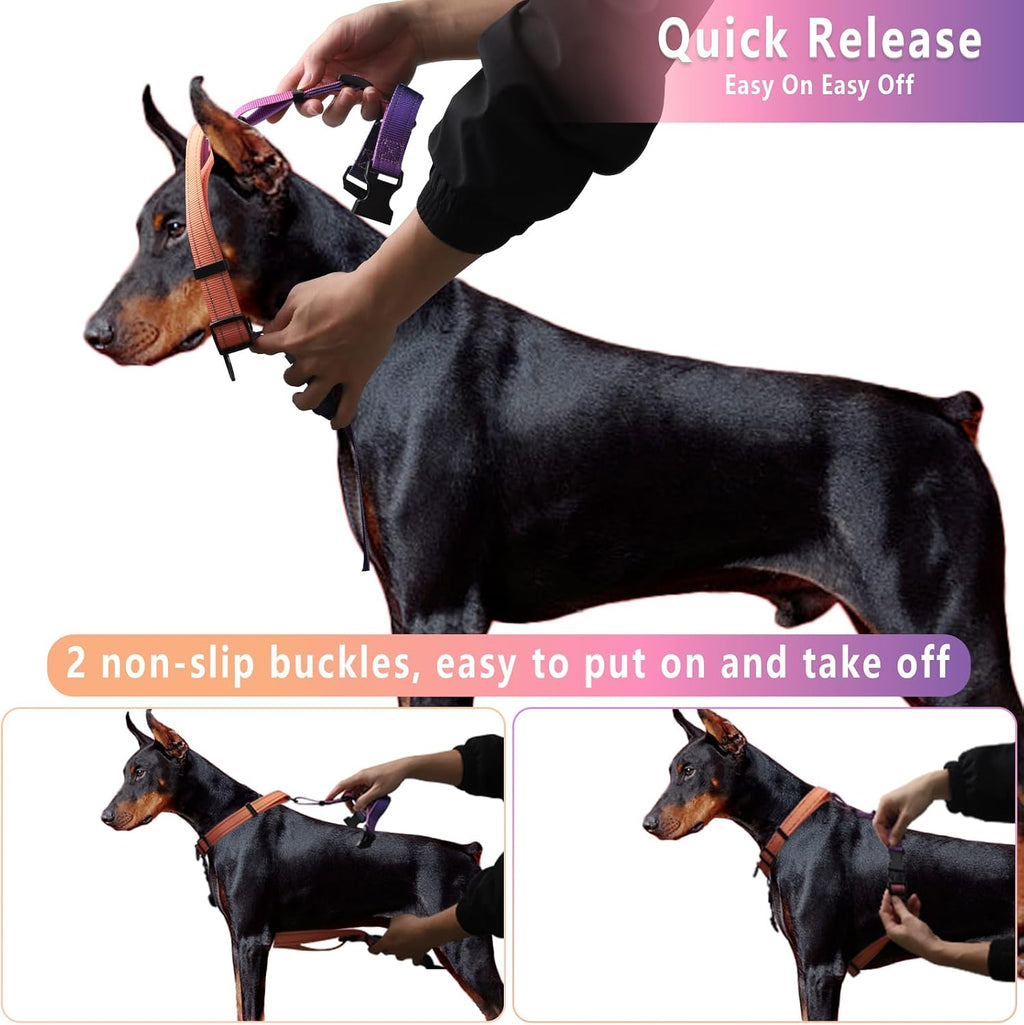 Detailed view of padded handle on Roses&Poetry dog harness