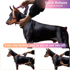Detailed view of padded handle on Roses&Poetry dog harness