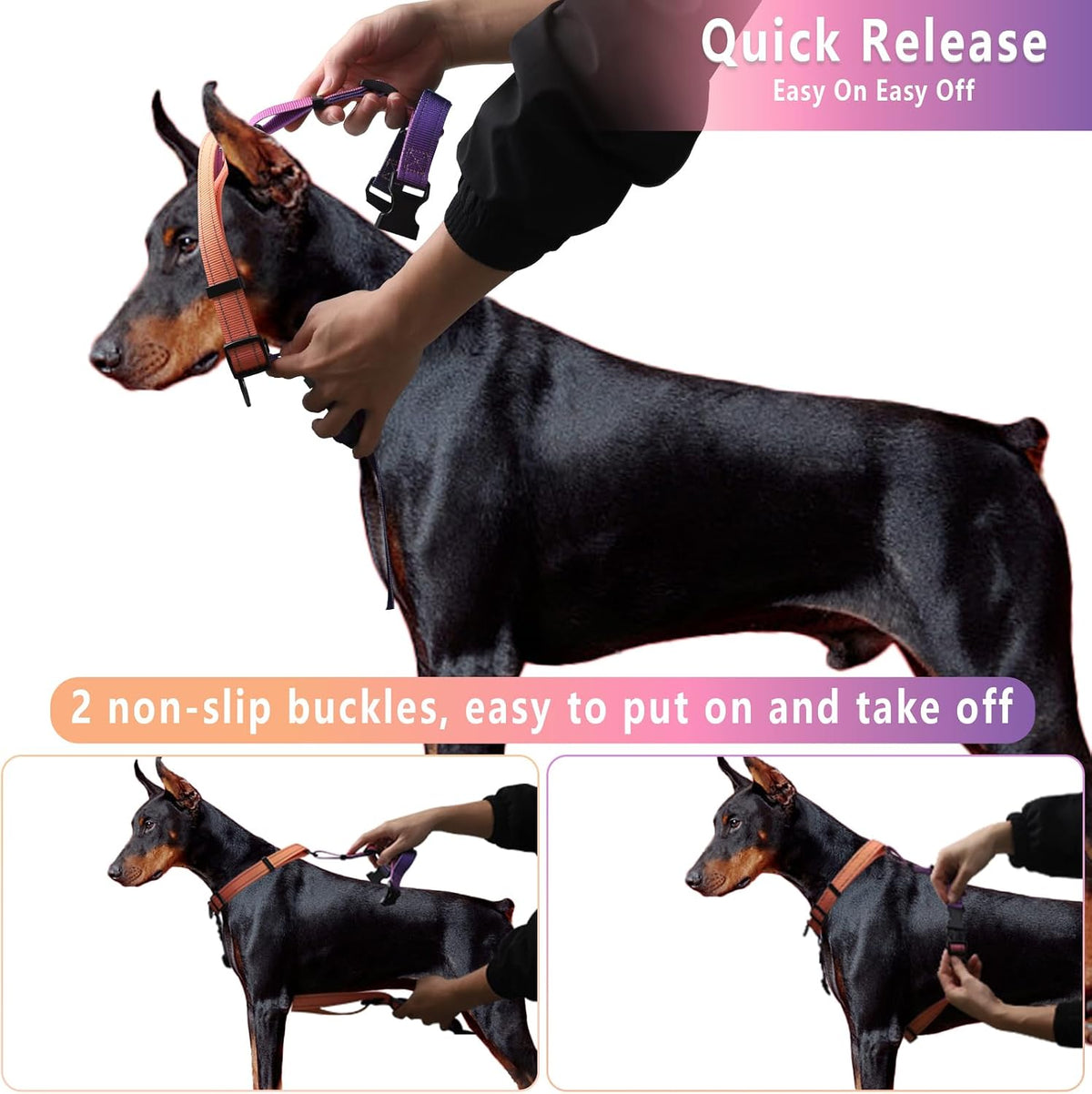Detailed view of padded handle on Roses&Poetry dog harness