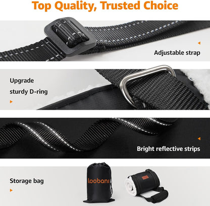 Reflective nylon bands on Loobani dog mobility aid