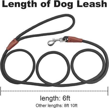 SEPXUFORE black 6ft dog leash coiled tightly to show its compact pocket-sized design.