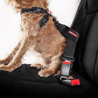 Black EzyDog car restraint for dogs ready for vehicle installation