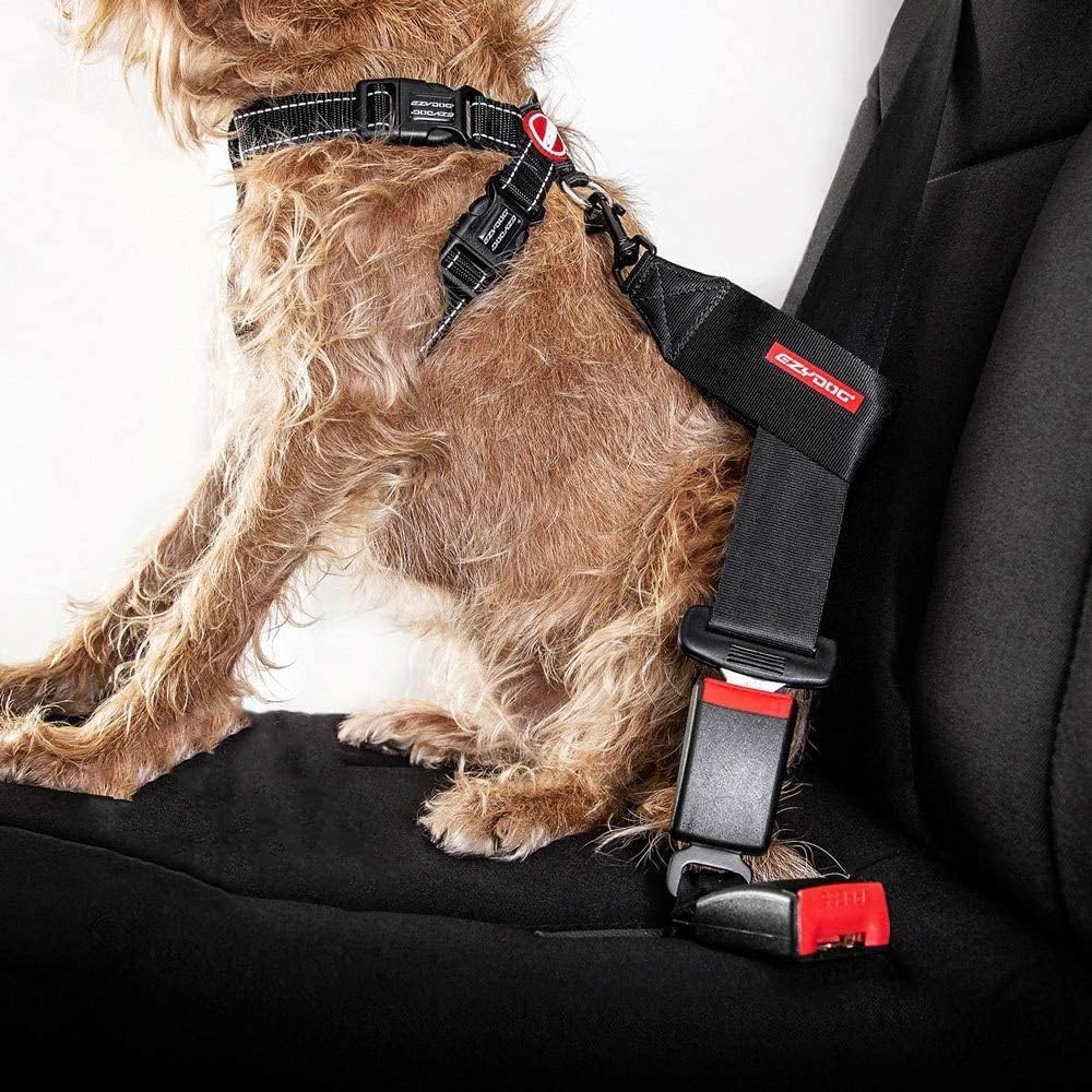 Black EzyDog car restraint for dogs ready for vehicle installation