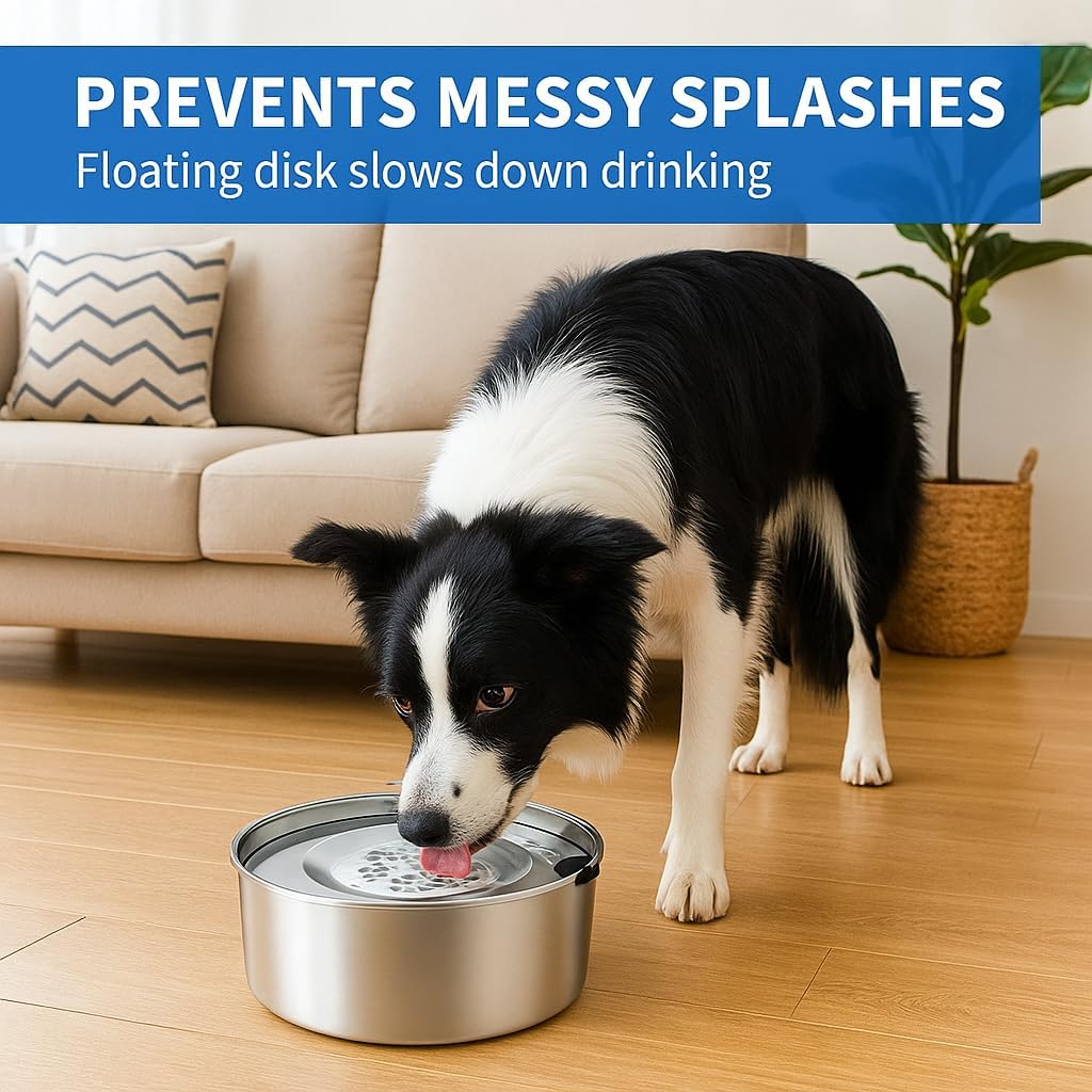 Spill proof travel dog water bowl placed inside a car setup