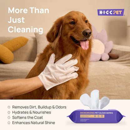 Using Hicc Pet glove wipes to clean dog ears and face