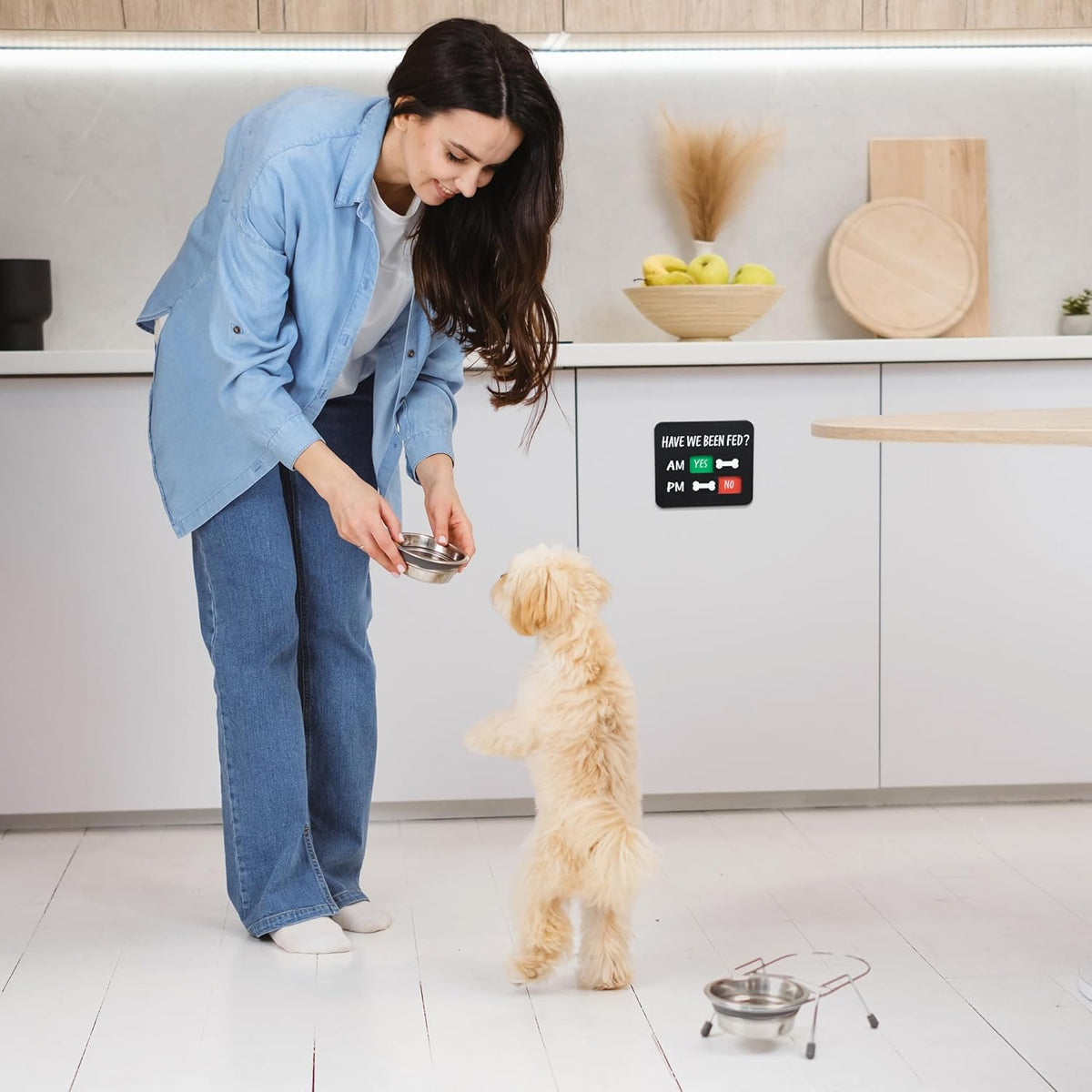 Abudada pet care reminder device preventing dog overfeeding in a household