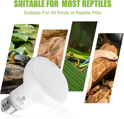 Installing the REPTI HOME reptile lamp into an overhead dome fixture using protective gloves.
